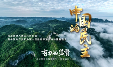 《中国的民主》第五集《有力的监督》